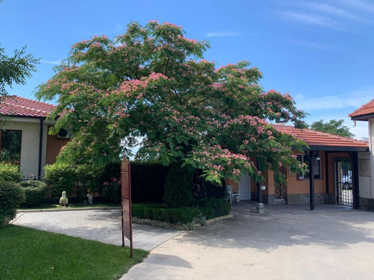 Apartcomplex Chateau Aheloy Dış mekan fotoğraf